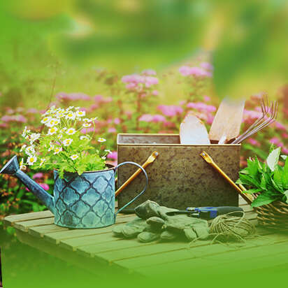 pflanztisch bubblenavibild